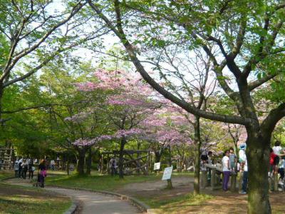つつじが岡公園(つづき)8