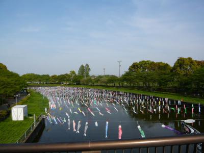 つつじが岡公園(つづき)9