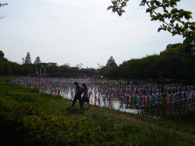 つつじが岡公園(つづき)10