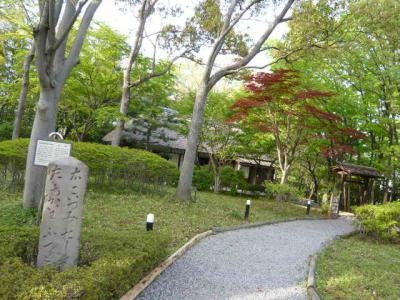 つつじが岡公園(つづき)13