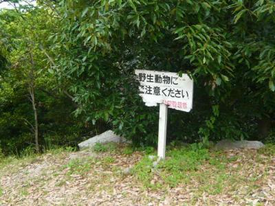 松山市街観光53
