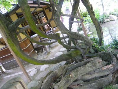 松山市街観光72