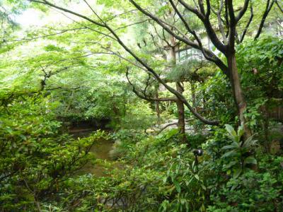 道後温泉の足湯巡り14
