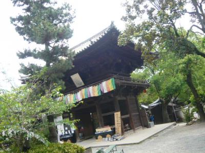 石手寺の散策13