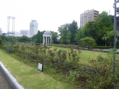 2012年ヨコスカ開国祭(海上自衛隊横須賀地方総監部)31