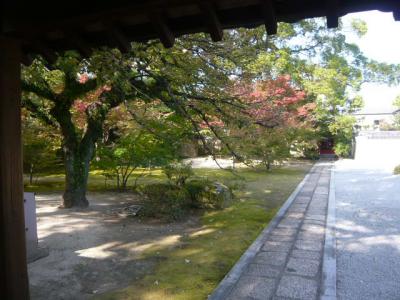 博多・祇園の寺院巡り36