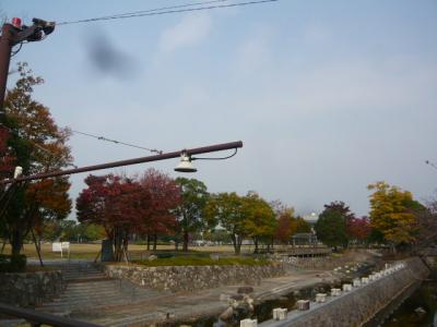久留米観光(筑後川サイクリング)1