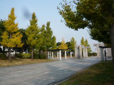 久留米観光(筑後川サイクリング)7