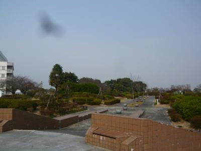 久留米観光(筑後川サイクリング)8