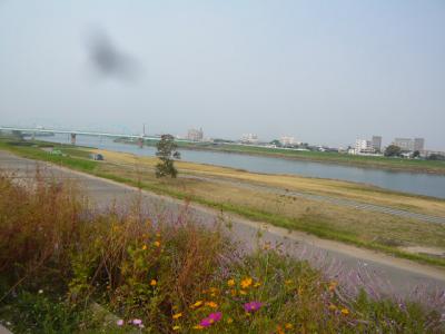 久留米観光(筑後川サイクリング)10