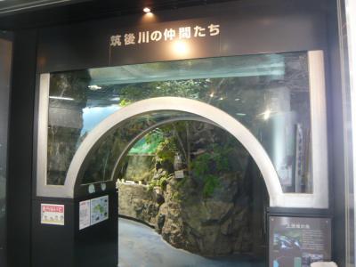 久留米観光(筑後川サイクリング)12