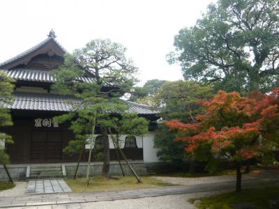 久留米観光(筑後川サイクリング)17