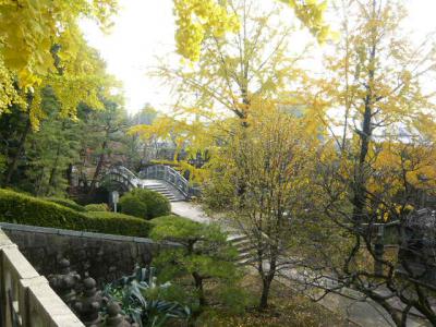 久留米観光(筑後川サイクリング)20