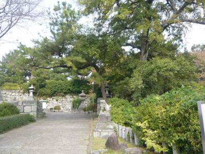 久留米観光(筑後川サイクリング)21