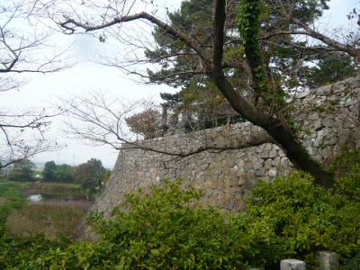 久留米観光(筑後川サイクリング)22