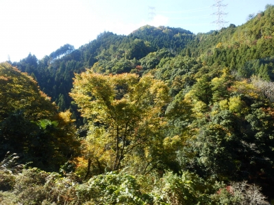 高野山7