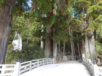 高野山15