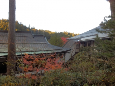 高野山35