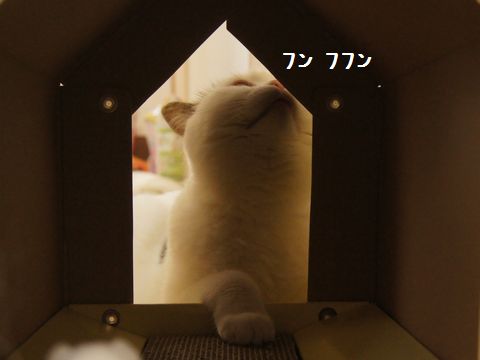 ニオイチェック