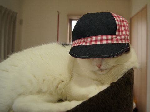 みーたんの帽子