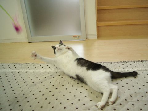 楽しい~♪