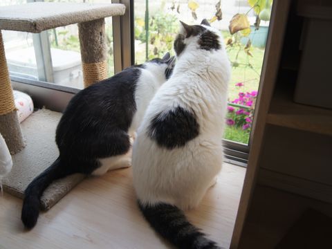 お外見学