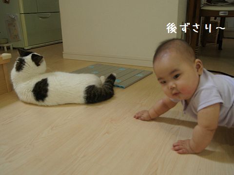 みーたんの負け~