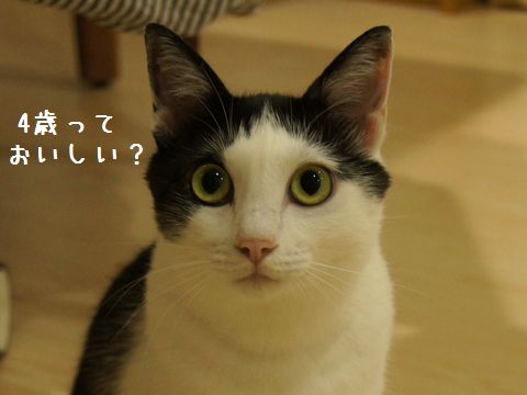 4歳だよ