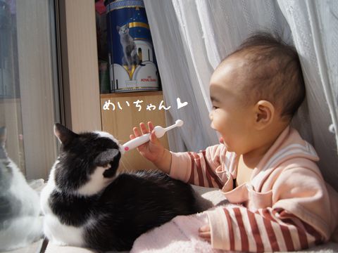 歯ブラシにおう?