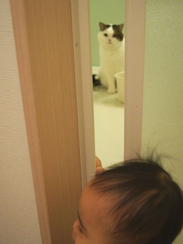 もちくんだ!
