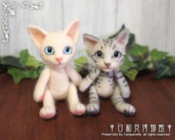 120831a.jpg