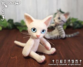 120831b.jpg