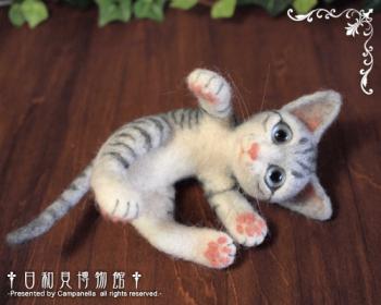 120902a.jpg