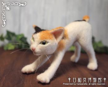 120914a.jpg