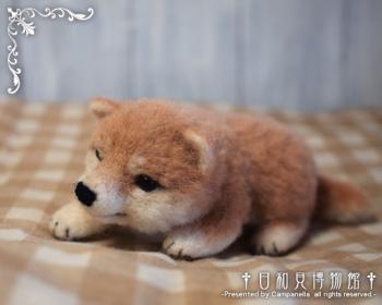 120924a.jpg