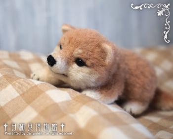 120924b.jpg