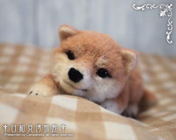 120924c.jpg