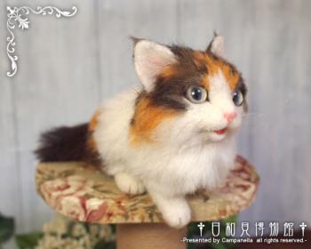 121012b.jpg
