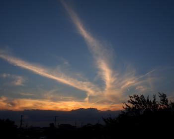 121028d.jpg