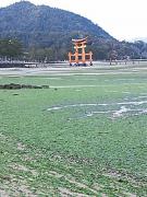 DSC_0112_512.jpg