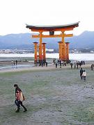 DSC_0115_512.jpg