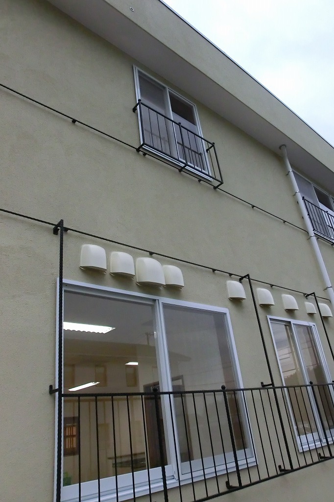 CIMG0884.jpg