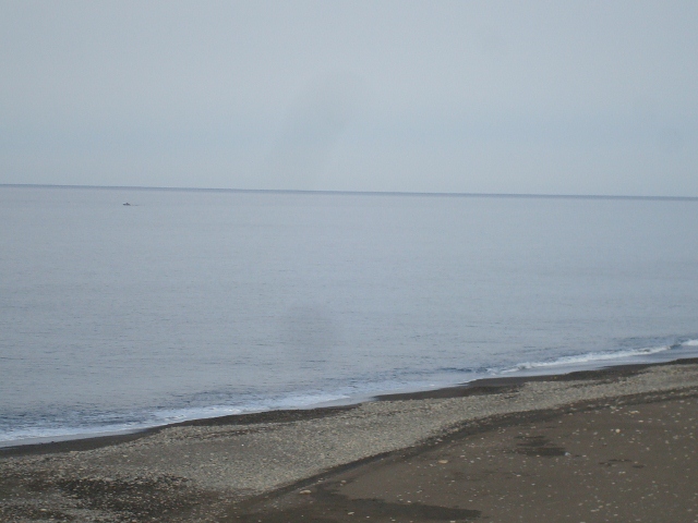 DSC02411 (640x480)