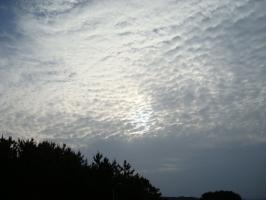 DSC02420 (640x480)