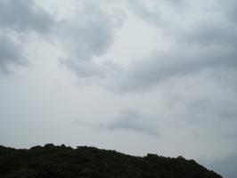 DSC02438 (640x480)
