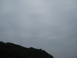 DSC02476 (640x480)