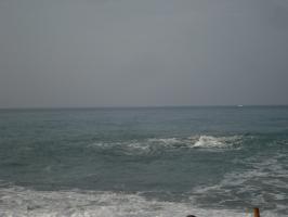 DSC02570 (640x480)