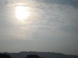 DSC02571 (640x480)