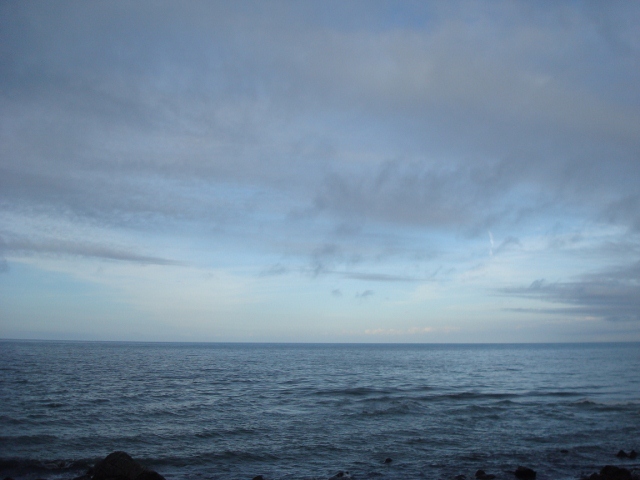 DSC02763 (640x480)