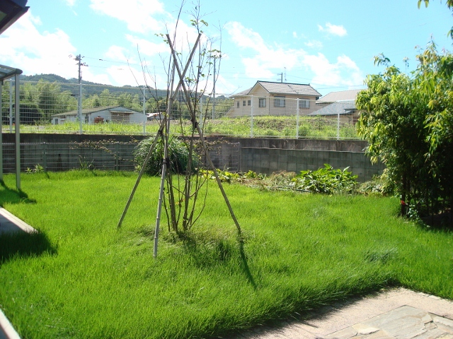 DSC02772 (640x480)